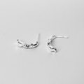 Aretes Raíces