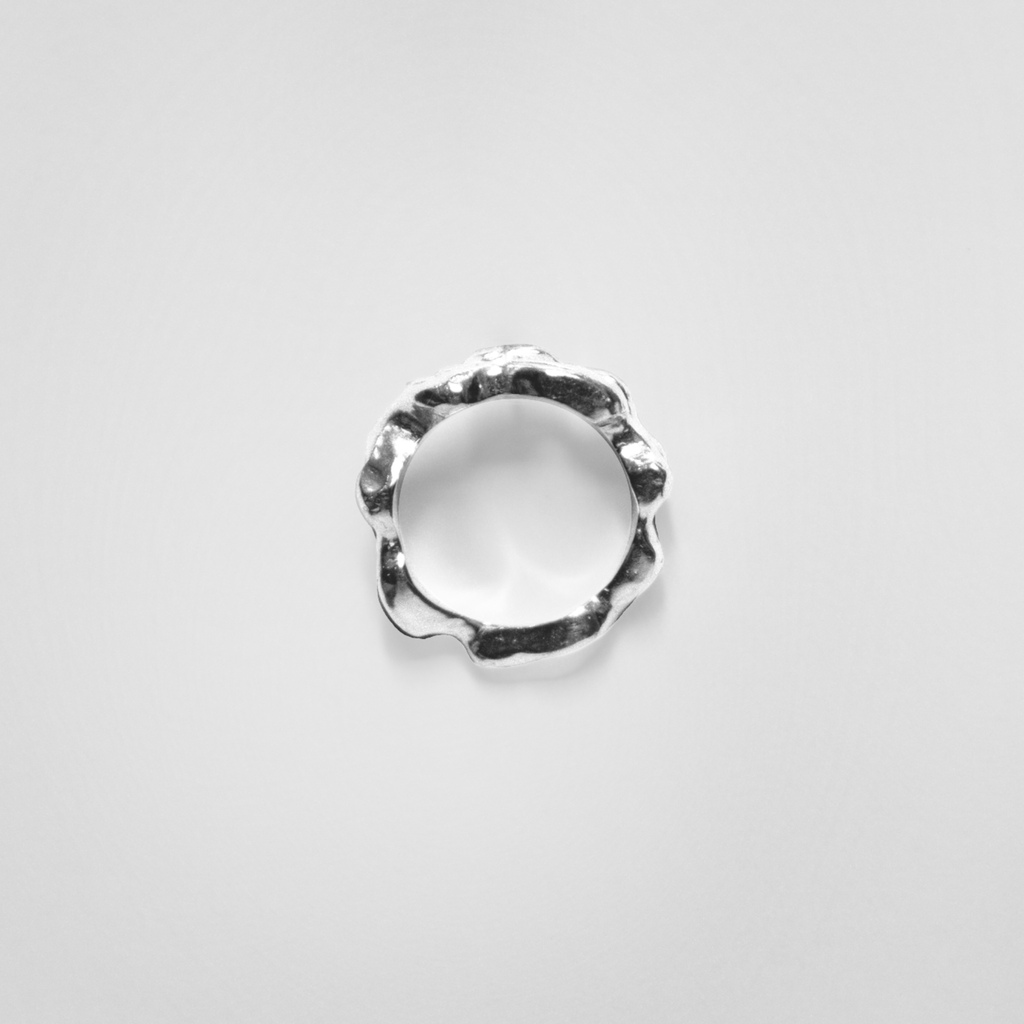 Anillo Raíces