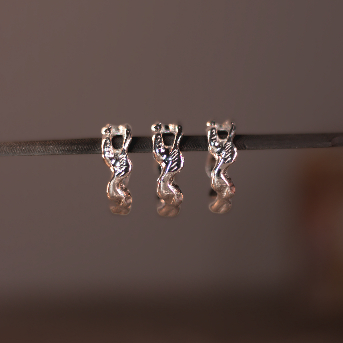 Anillo Raíces