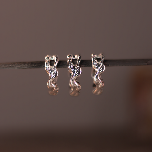 Anillo Raíces