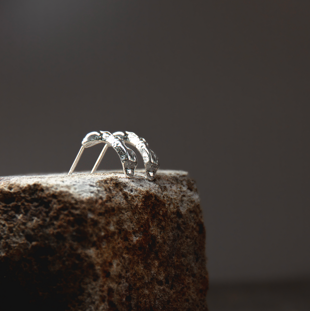 Aretes Raíces